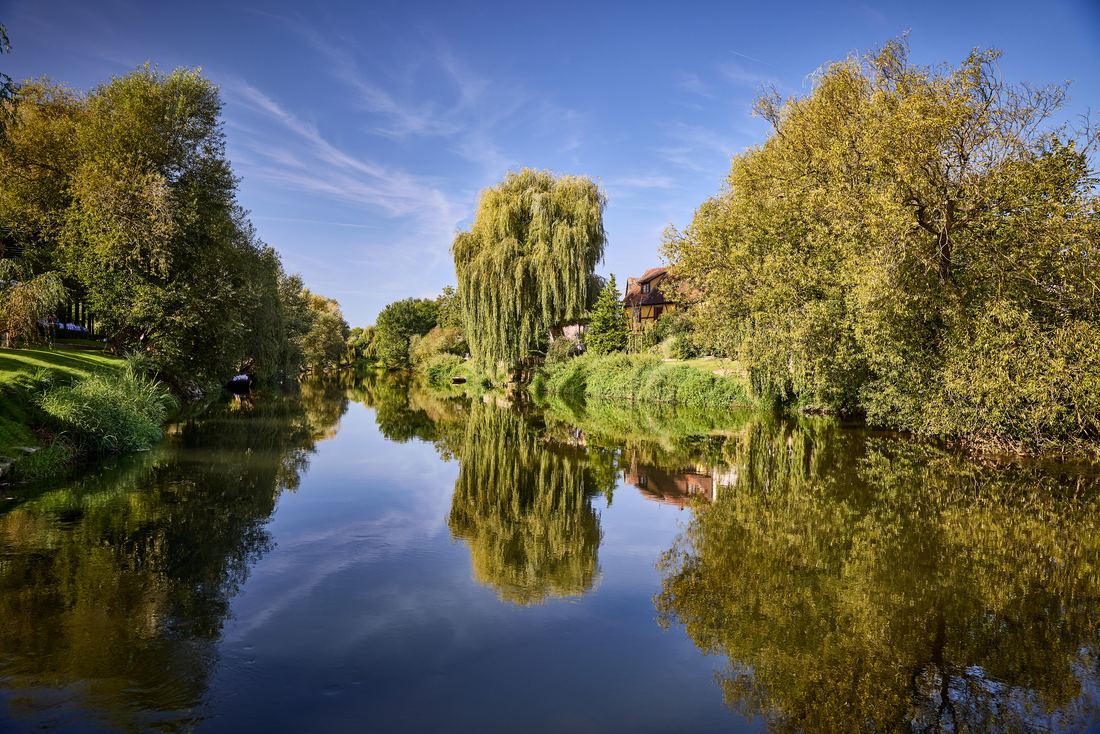 Die Weiden am Ufer der Auberge de l'Ill